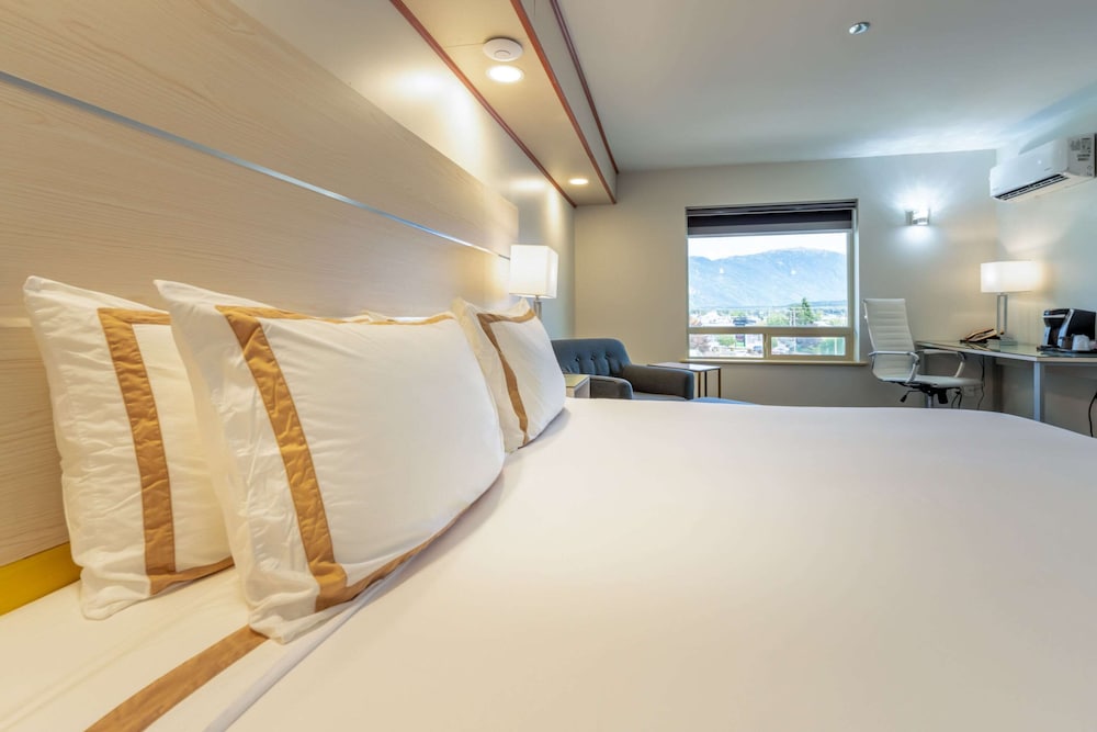 Suite, 1 Queen Bed, Non Smoking (Efficiency)