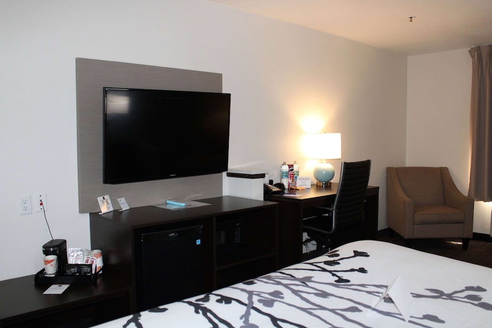 Room, 1 King Bed, Accessible, Non Smoking (Mobility, Roll-in Shower) - Photo 1