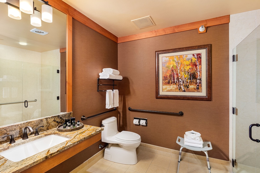 Premium Room, 1 King Bed (Premium King - Accessible)