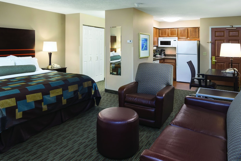 Standard Studio Suite, 1 King Bed with Sofa bed