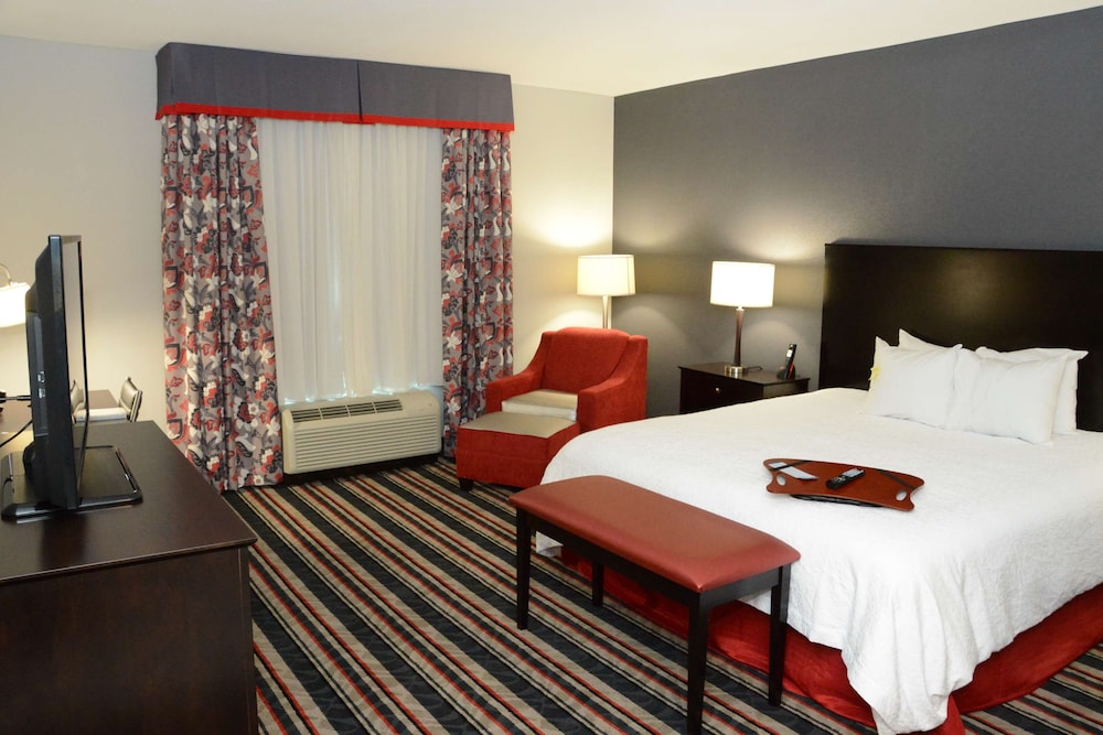 Room, 1 King Bed, Accessible photo 3