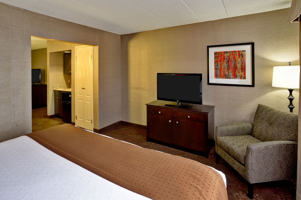 Suite, 1 King Bed, Roll-in Shower, Non Smoking (Communications Accessible) photo 2