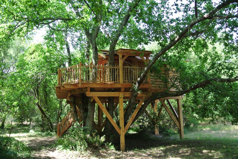 Deluxe Cabin, Ensuite (Cabane) - Photo 10