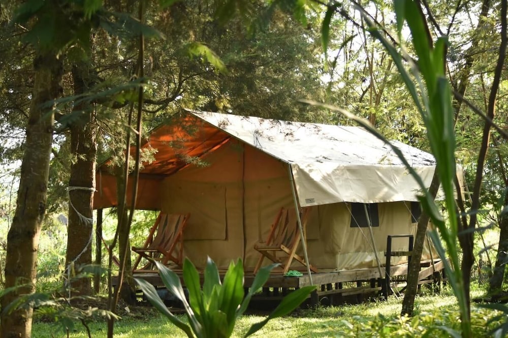 Shared Dormitory, 1 Bedroom, Accessible, Smoking photo 1