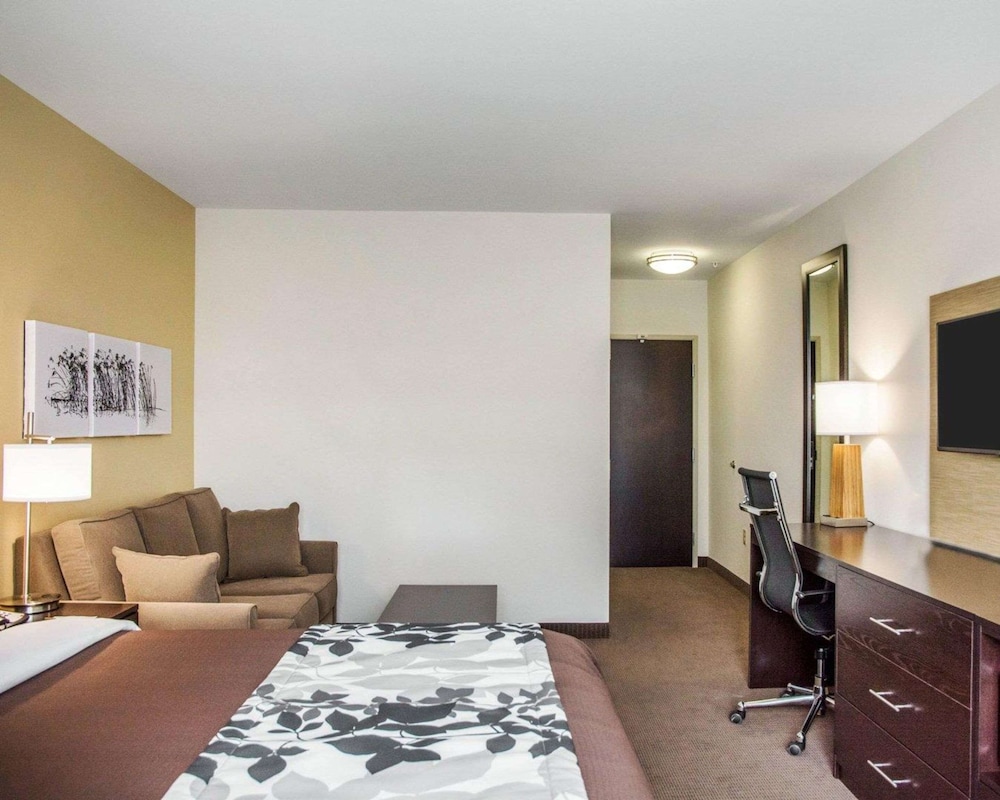 Suite, 1 King Bed with Sofa bed, Non Smoking (2 Person Sofa Bed)