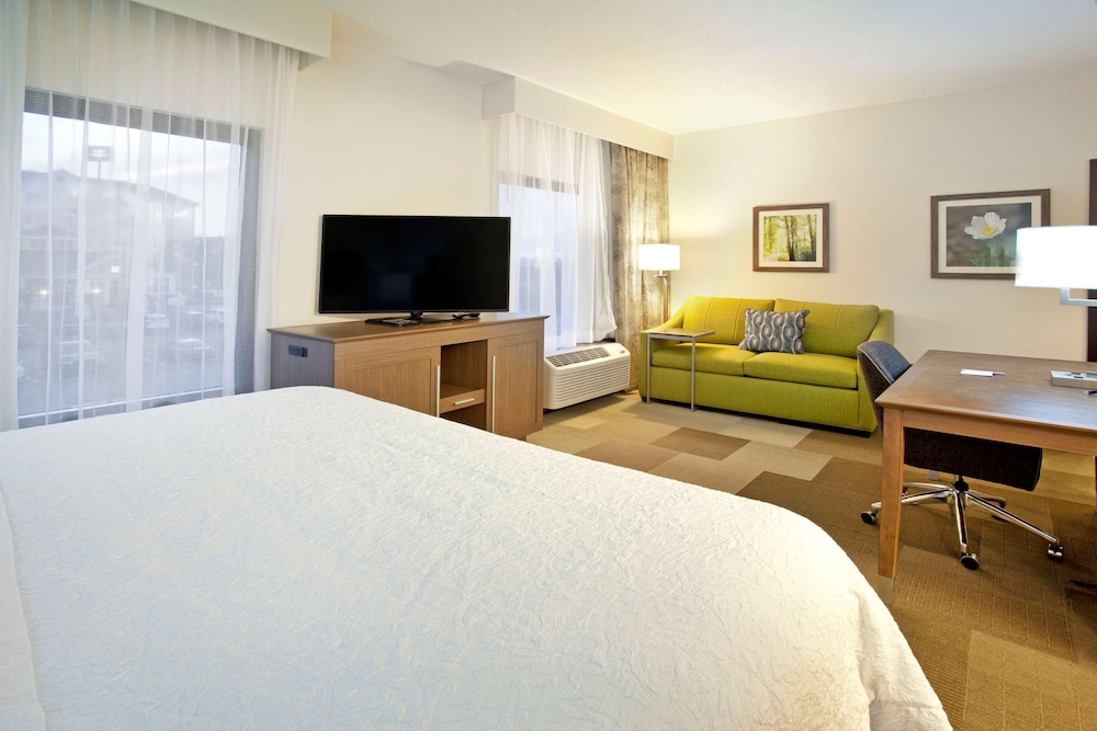Suite, 1 King Bed, Accessible, Bathtub (Mobility) - Photo 3
