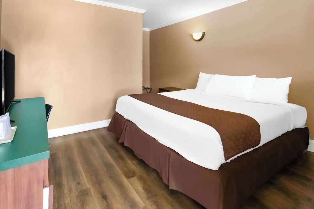Room, 1 King Bed, Non Smoking