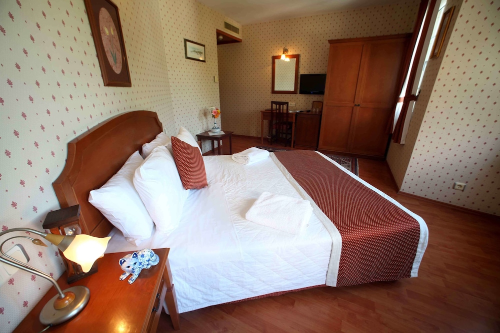 Standard Double or Twin Room photo 1