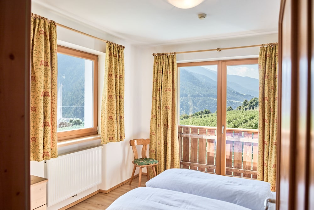 Comfort Apartment, 1 King Bed with Sofa bed, Mountain View