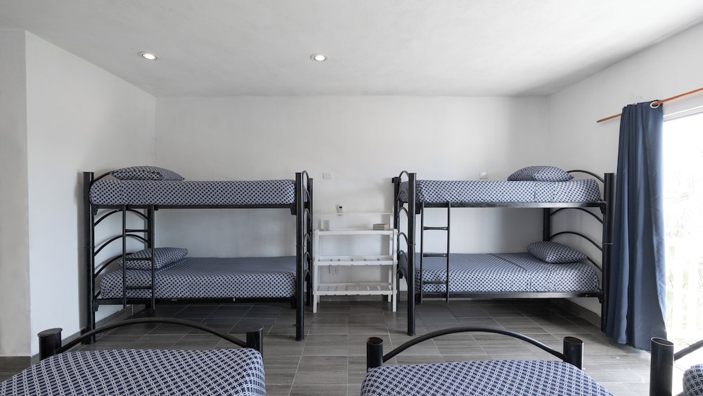 Basic Shared Dormitory photo 2