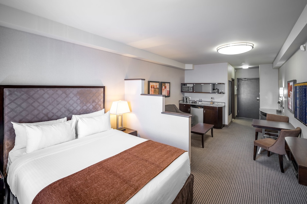 Diamond Studio Queen Suite - Photo 1