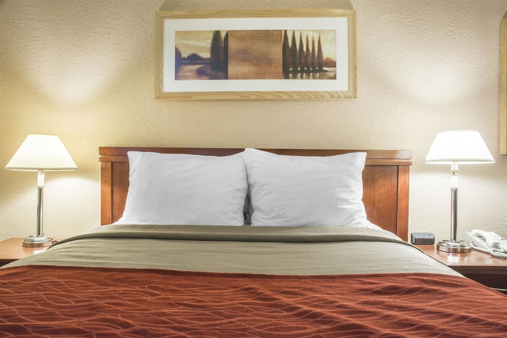 Standard Room, 1 Queen Bed, Non Smoking - Photo 1