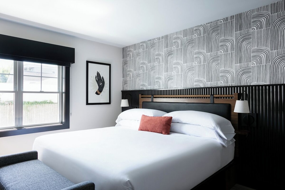 Suite, 1 King Bed with Sofa bed photo 1