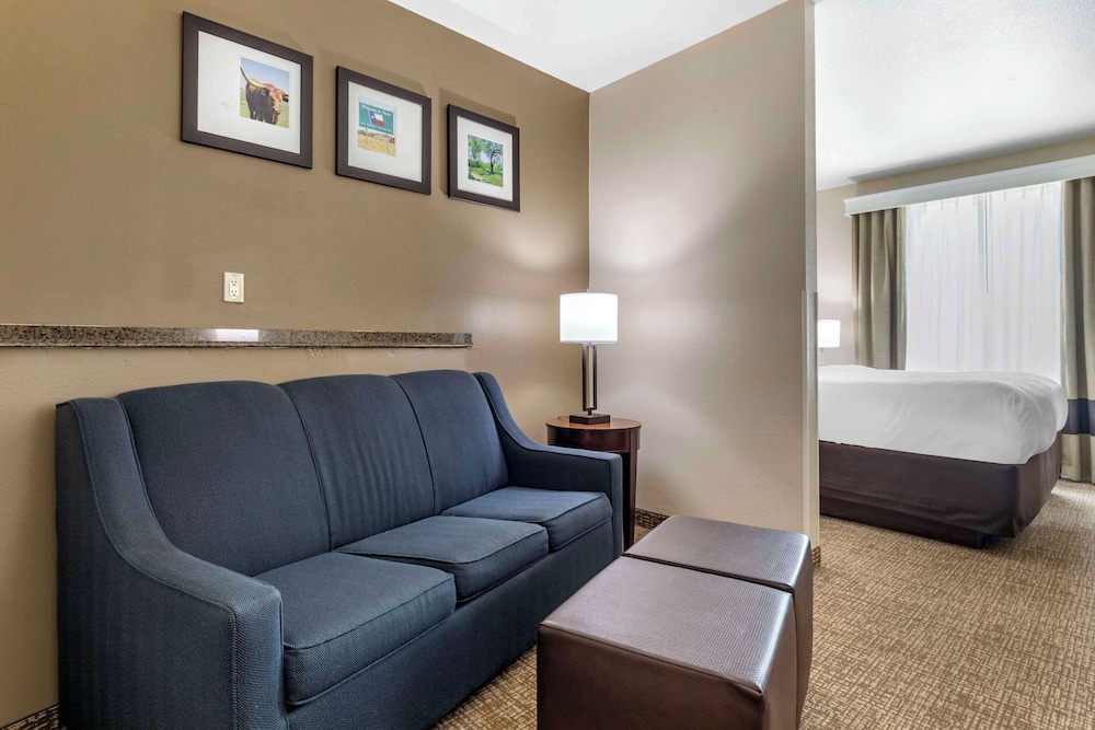 Suite, 1 King Bed with Sofa bed, Non Smoking - Photo 3