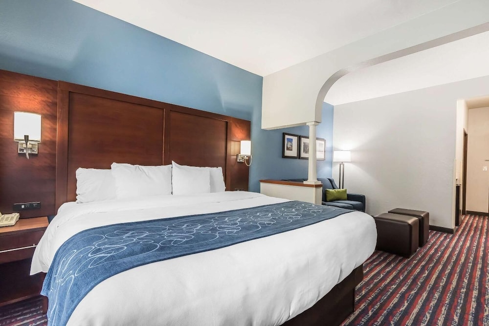 Suite, 1 King Bed with Sofa bed, Accessible, Non Smoking photo 2