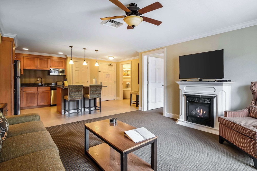 Suite, 1 Bedroom photo 2