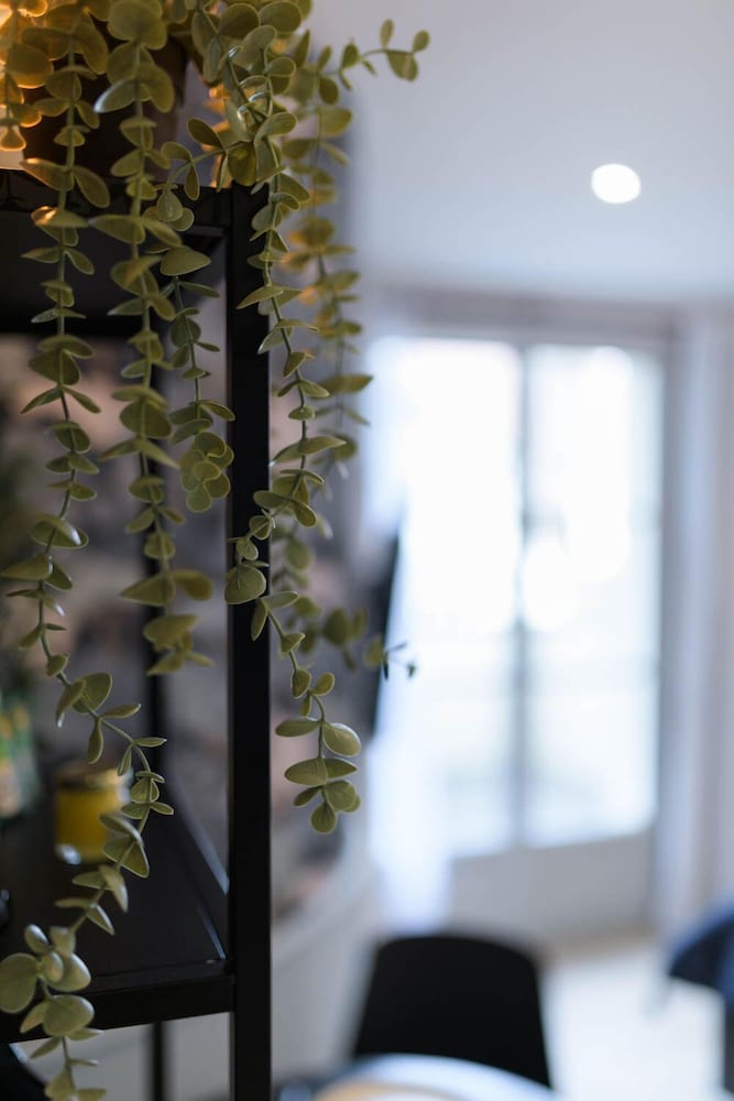 Standard Apartment - Photo 6