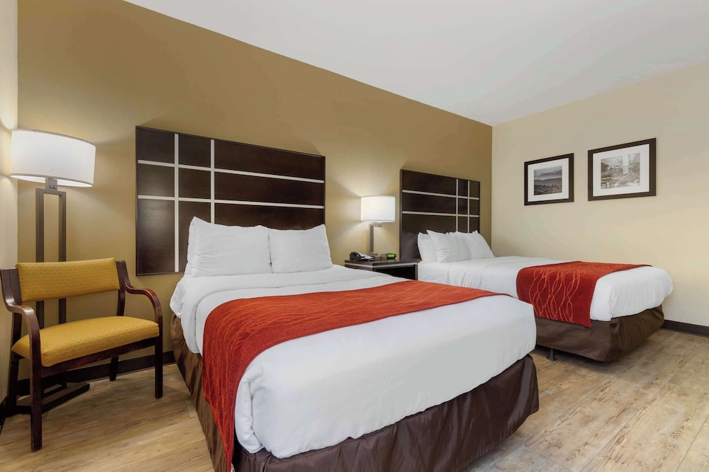 Room, 2 Double Beds, Accessible, Non Smoking - Photo 4