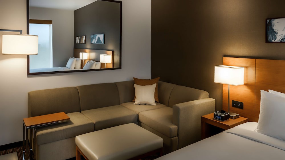 Room, 1 King Bed with Sofa bed photo 2