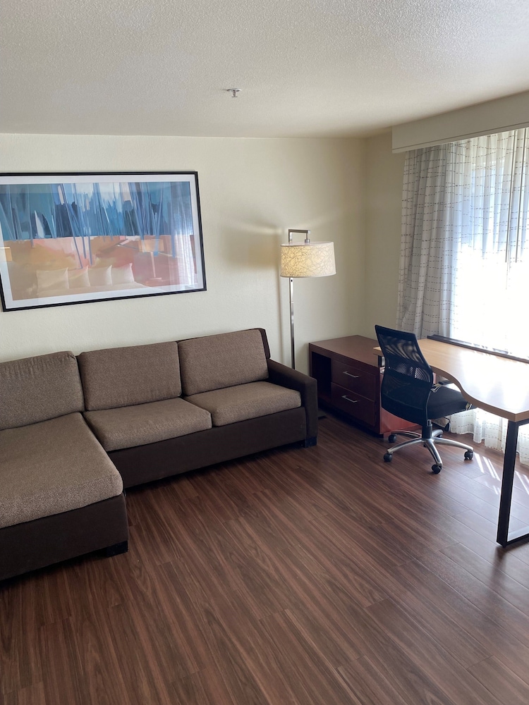 Studio Suite, 1 Queen Bed with Sofa bed - Photo 5