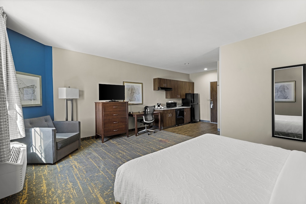 Basic Studio Suite, 1 King Bed, Kitchenette