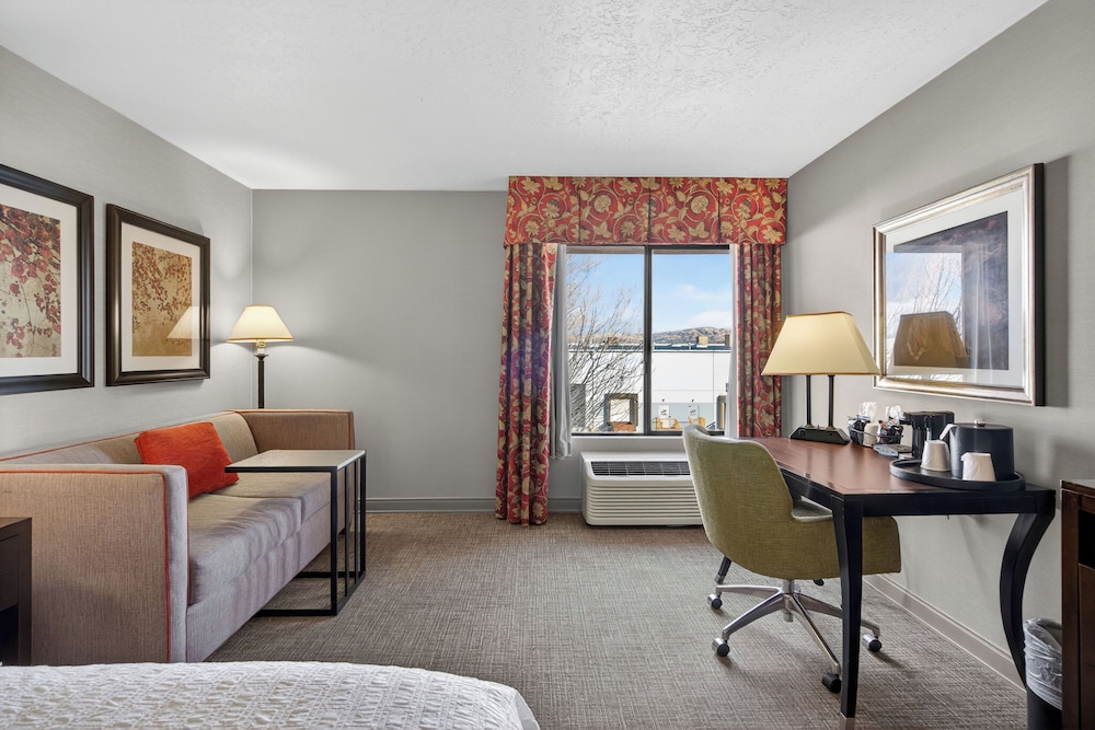 Suite, 1 King Bed with Sofa bed photo 1