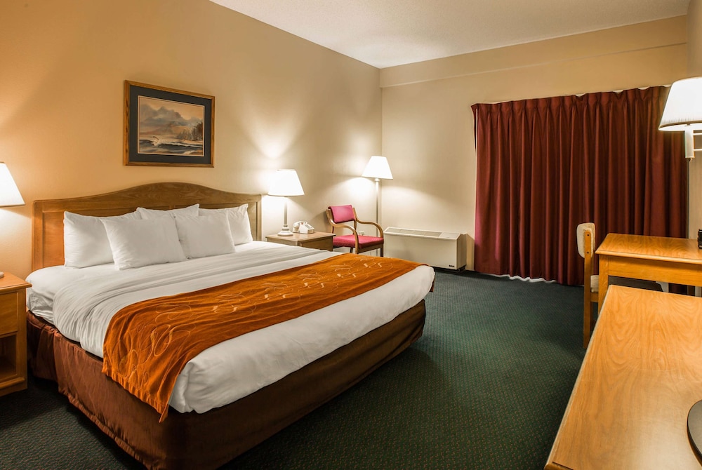 Deluxe Room, 1 King Bed, Non Smoking, Jetted Tub - Photo 5