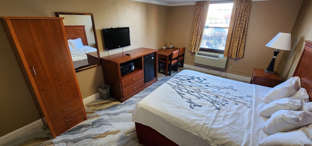 Room, 1 King Bed, Smoking - Photo 6
