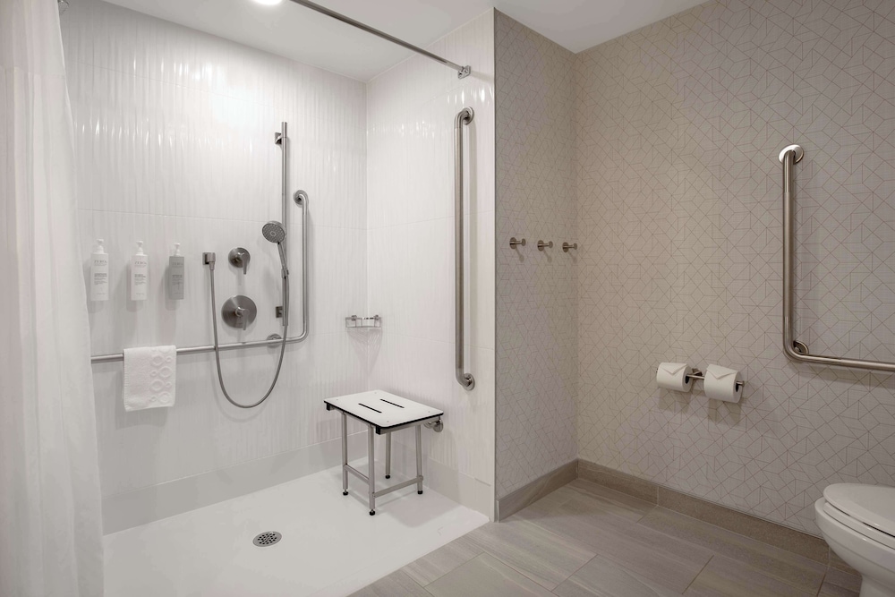 Studio Suite, 1 King Bed, Accessible (Roll-In Shower) photo 3