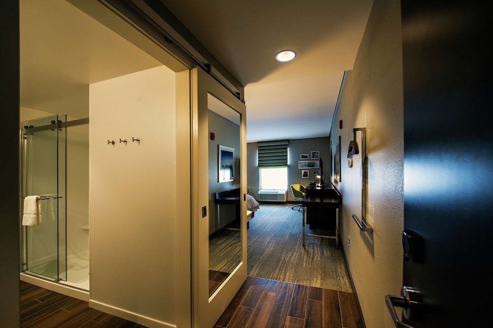 Room, 1 King Bed with Sofa bed (Shower)