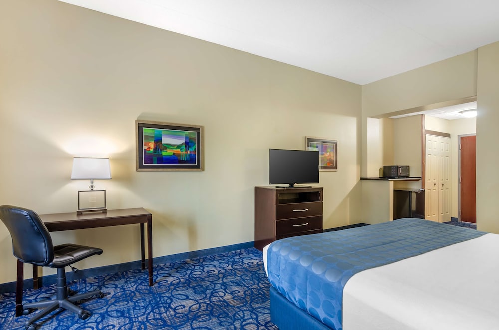 Standard Room, 1 King Bed, Non Smoking, Refrigerator & Microwave - Photo 3
