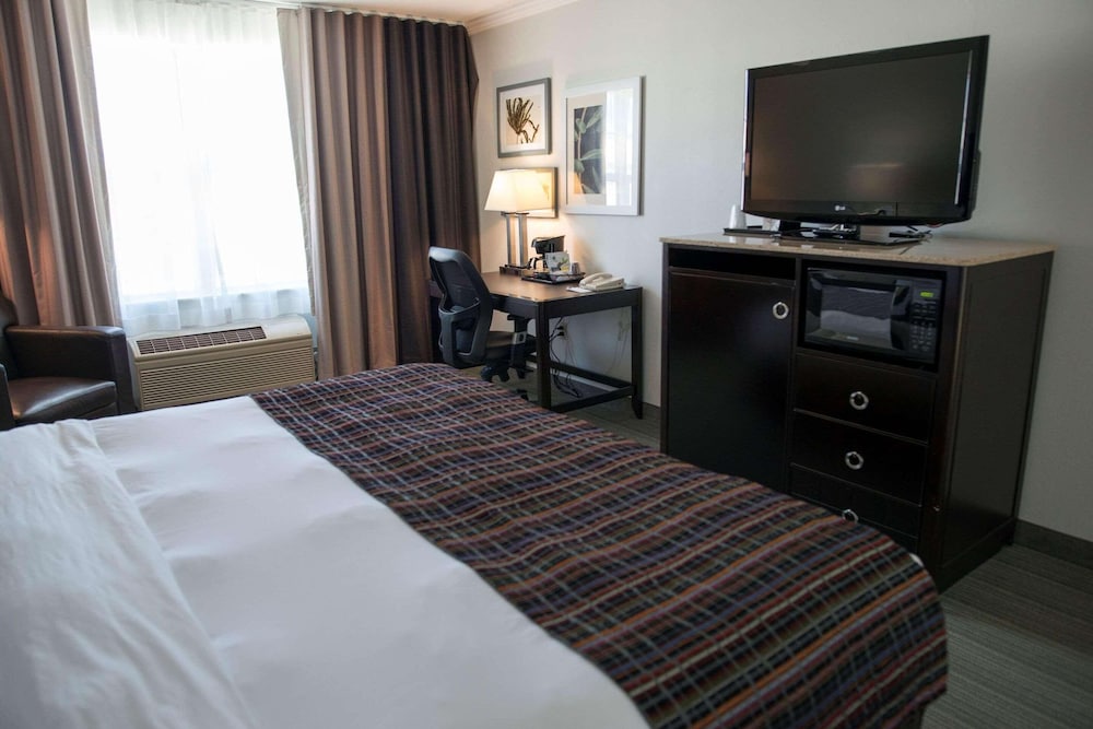Suite, 1 King Bed with Sofa bed, Non Smoking photo 2