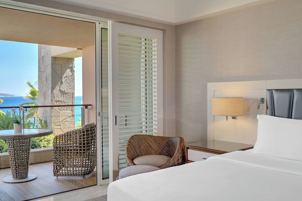 Suite, 1 King Bed with Sofa bed