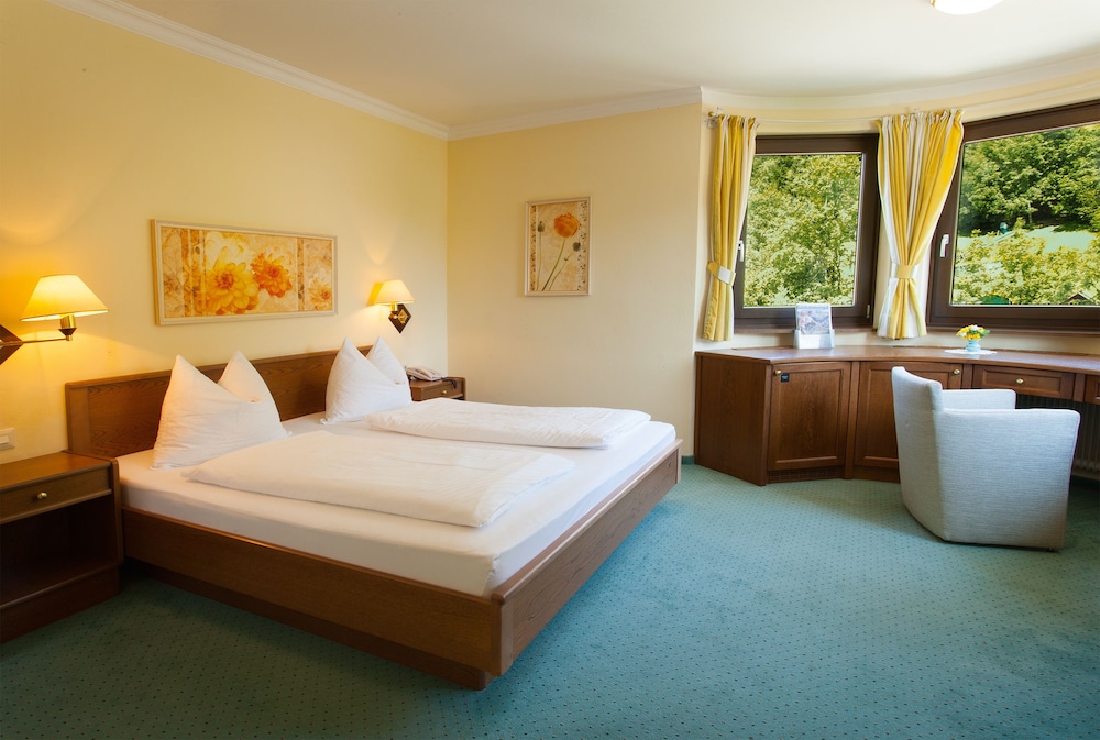 Double Room, Mountain View (Schober)