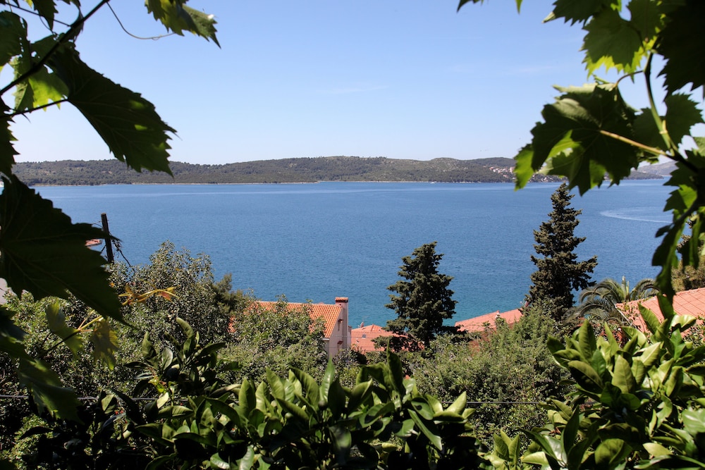 Big Blue photo 1