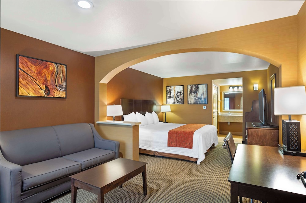 Suite, 1 King Bed, Non Smoking, Refrigerator & Microwave photo 1