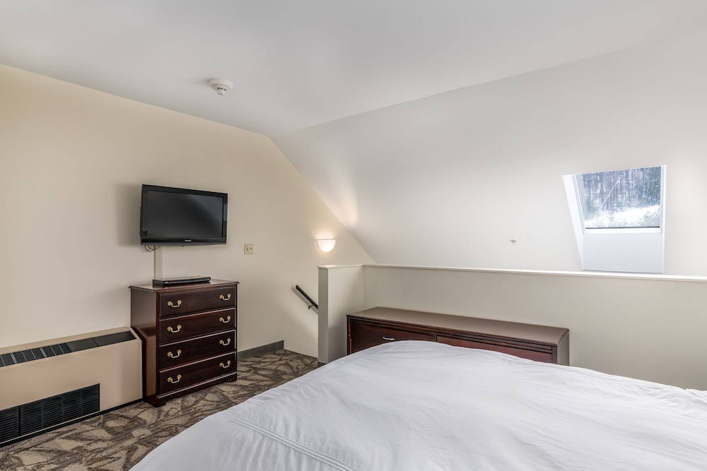 Superior Loft, 1 King Bed with Sofa bed photo 2