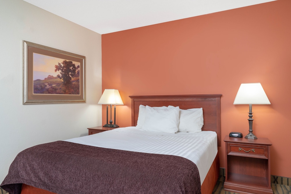 Basic Single Room, 1 Queen Bed photo 1