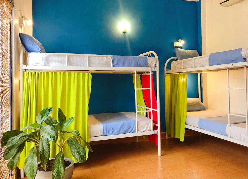 Basic Shared Dormitory photo 1