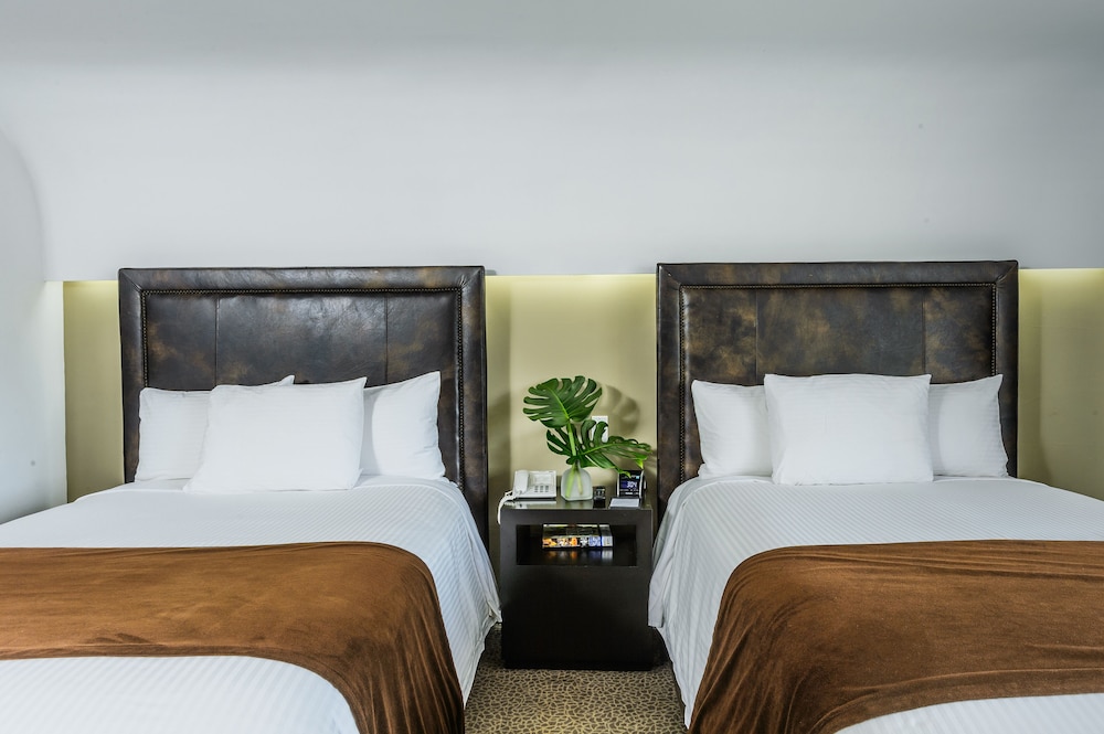 Executive Room, Two Double Beds - Photo 2