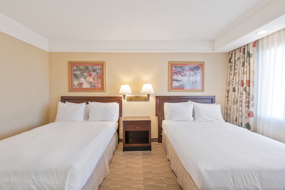 Two Double Bed Suite - Photo 9