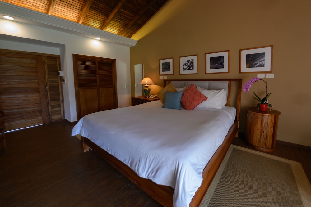 Deluxe 1 King Bed