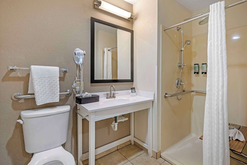 Suite, 1 King Bed, Accessible, Non Smoking (with Sofabed) - Photo 4