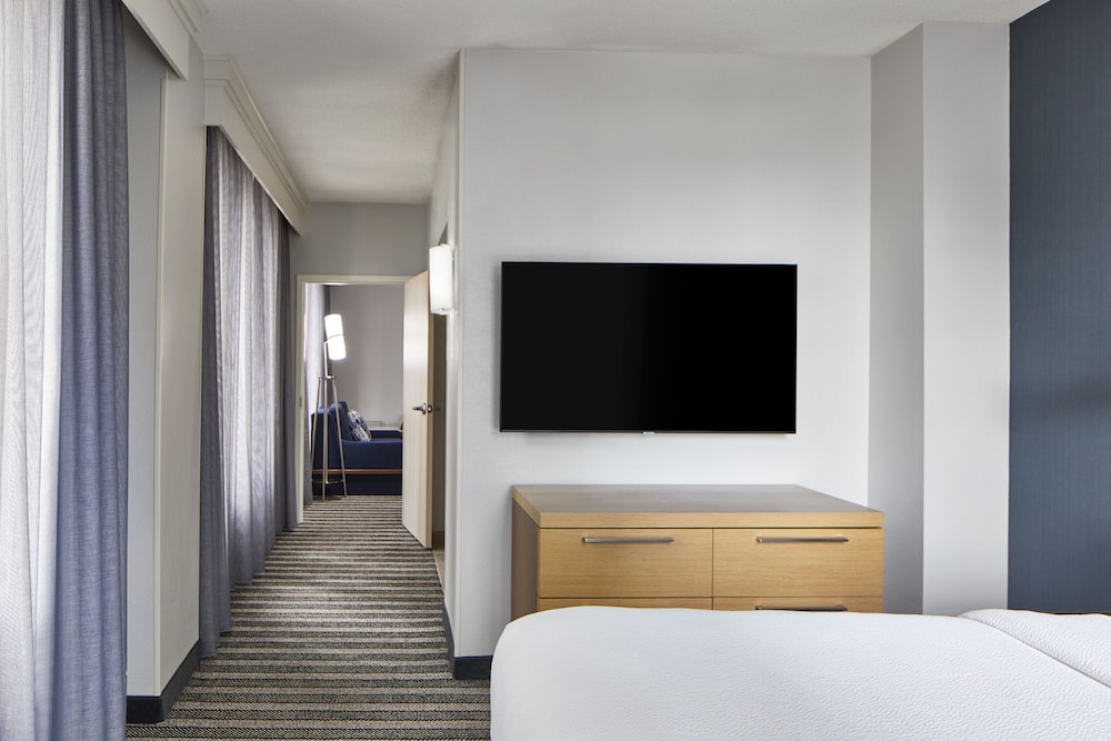 Suite, 1 King Bed with Sofa bed