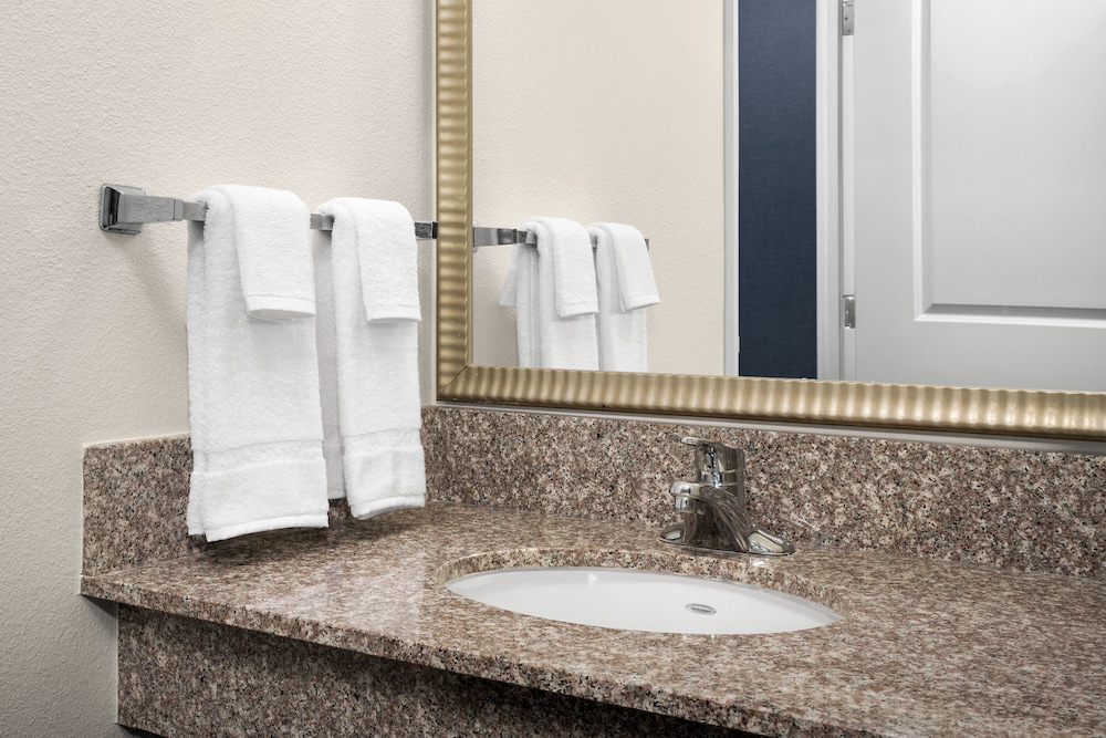 Suite, 1 Bedroom (Mobility/Hearing Access, Roll-In Shwr), photo 6