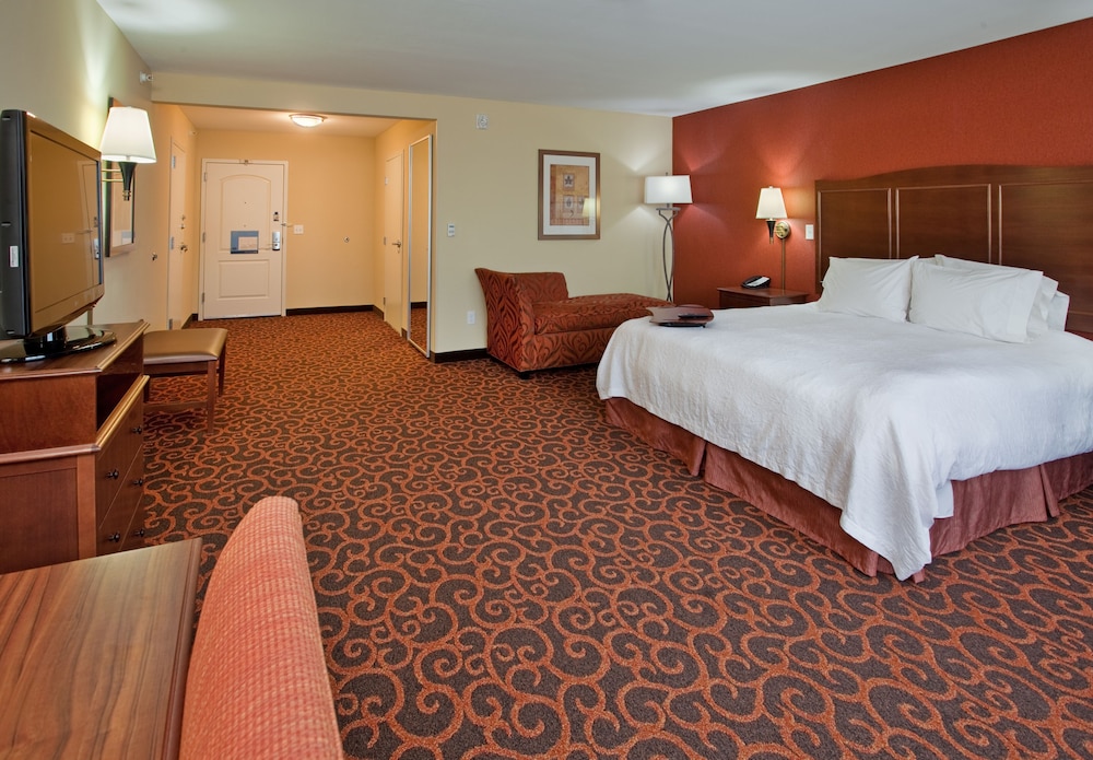 Room, 1 King Bed, Accessible (Roll-In Shower) photo 2