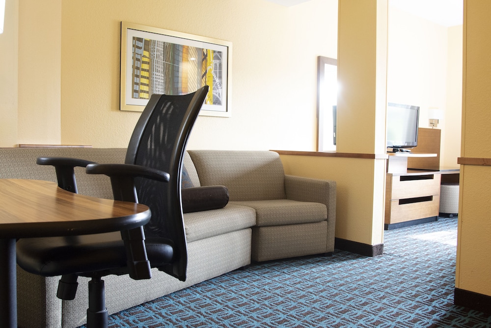 Suite, 1 King Bed with Sofa bed