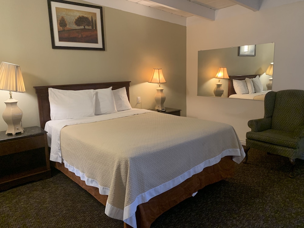 Single Room, 1 Queen Bed photo 2