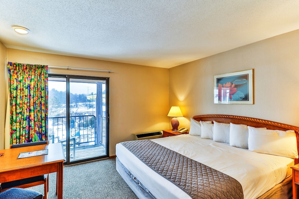 Economy Room, 1 King Bed With Sofa Bed photo 1