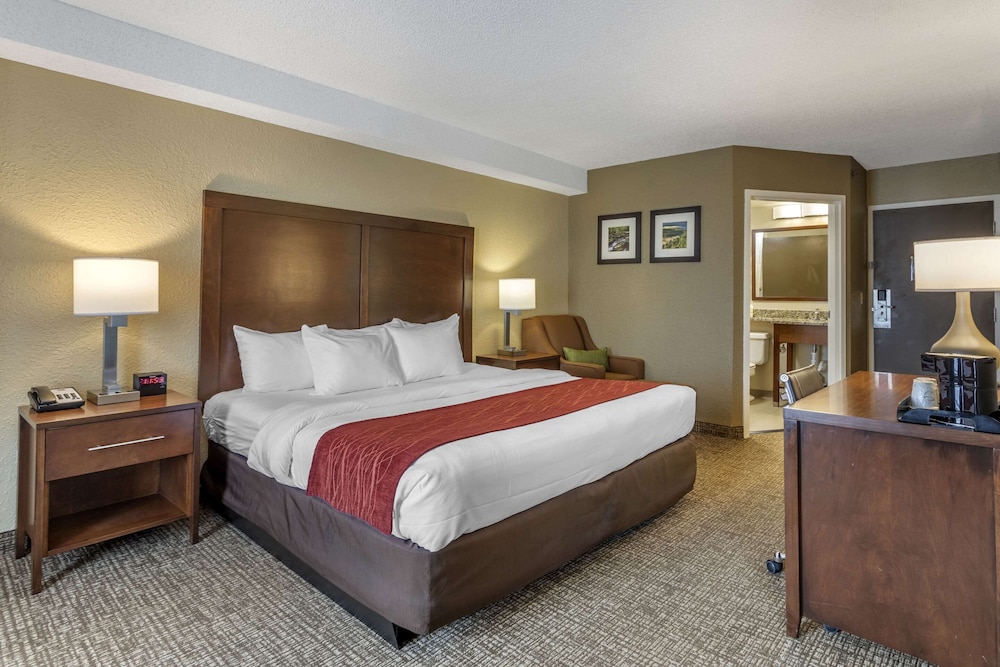 Standard Room, 1 King Bed with Sofa bed, Non Smoking (Shower Tub) photo 3